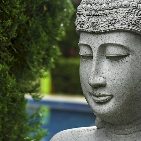 Casa Domingo Hotel Petit Miacatlán Εξωτερικό φωτογραφία