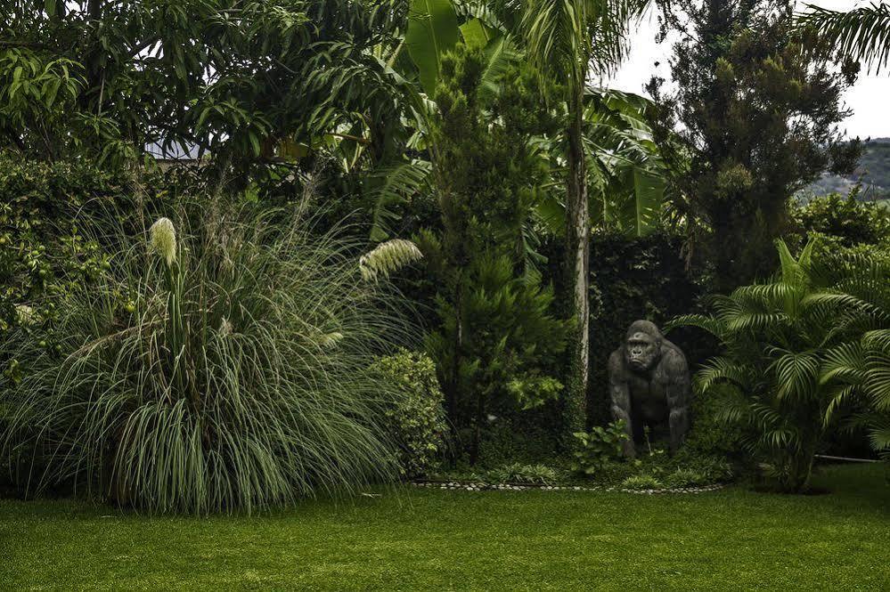 Casa Domingo Hotel Petit Miacatlán Εξωτερικό φωτογραφία